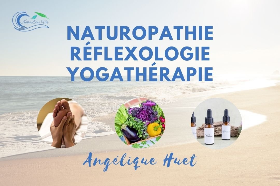 Consultations individuelles Naturopathie Angélique HUET